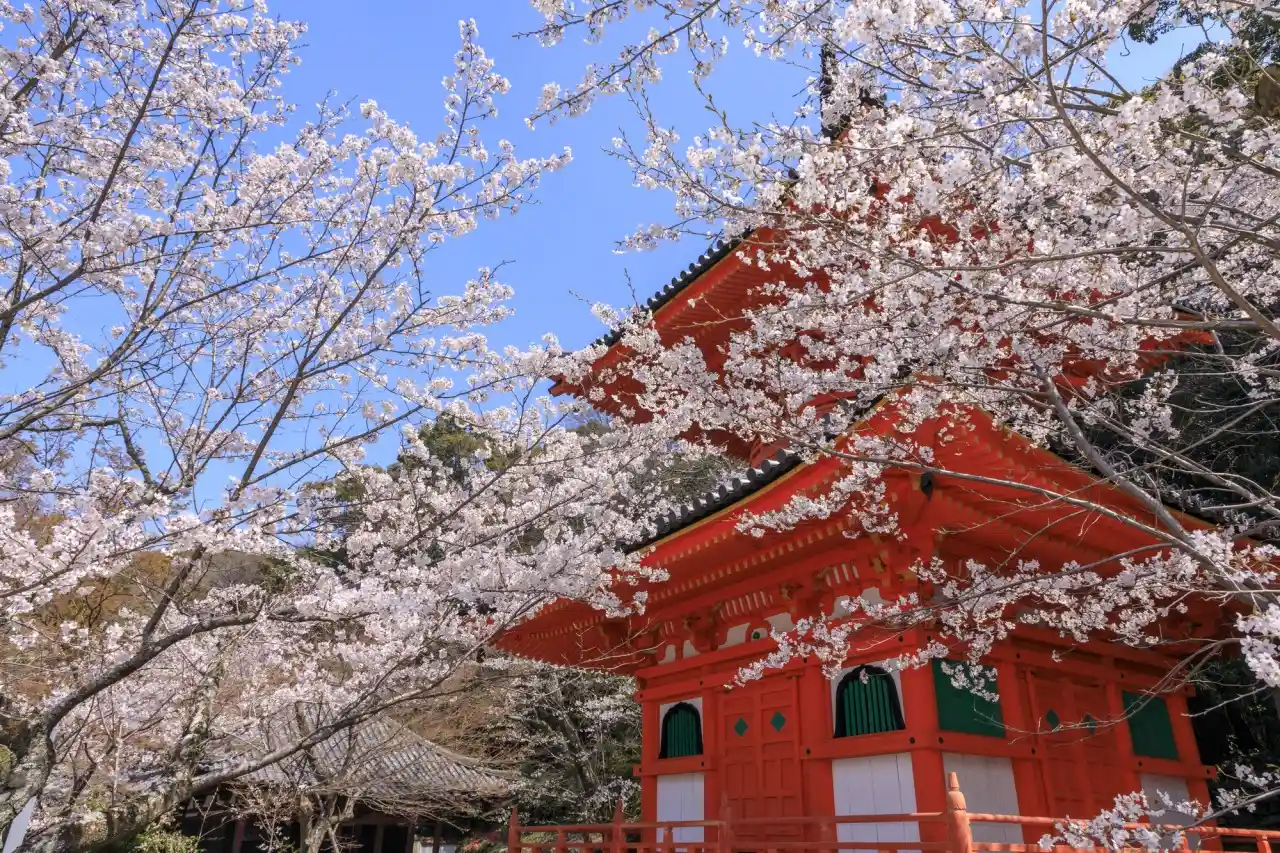Discover wakayama picture