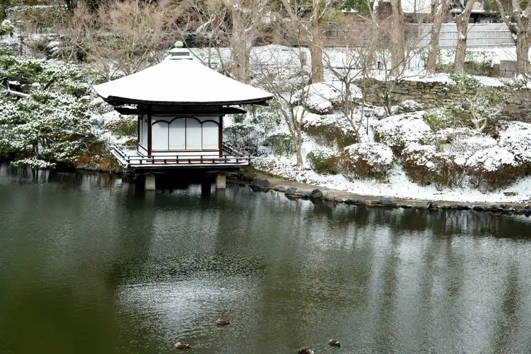 Discover wakayama picture