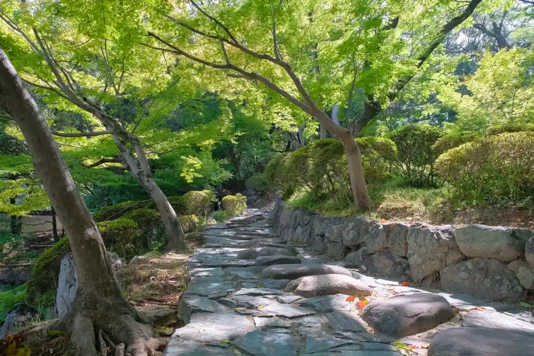 Discover wakayama picture